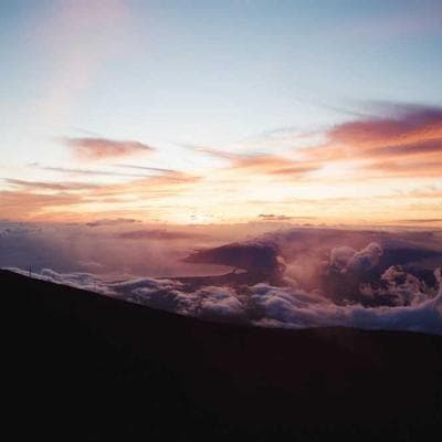 A encrenca do pé de jaca