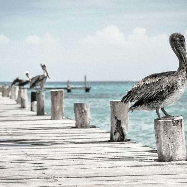 Cultivando a Paciência