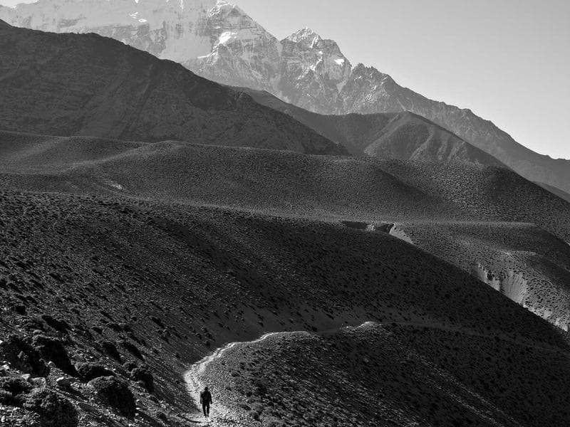 A Jornada de José: O Sonhador do Egito