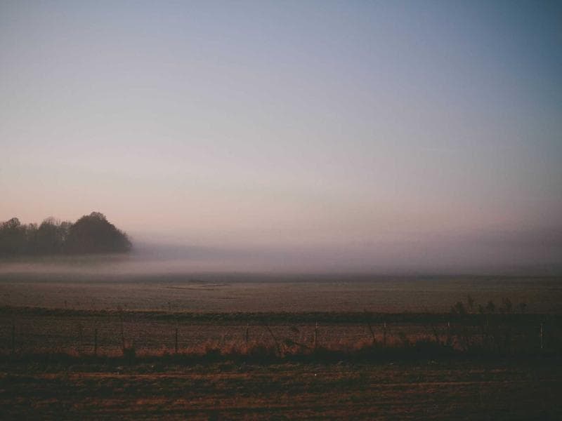 Jonas e o Grande Peixe